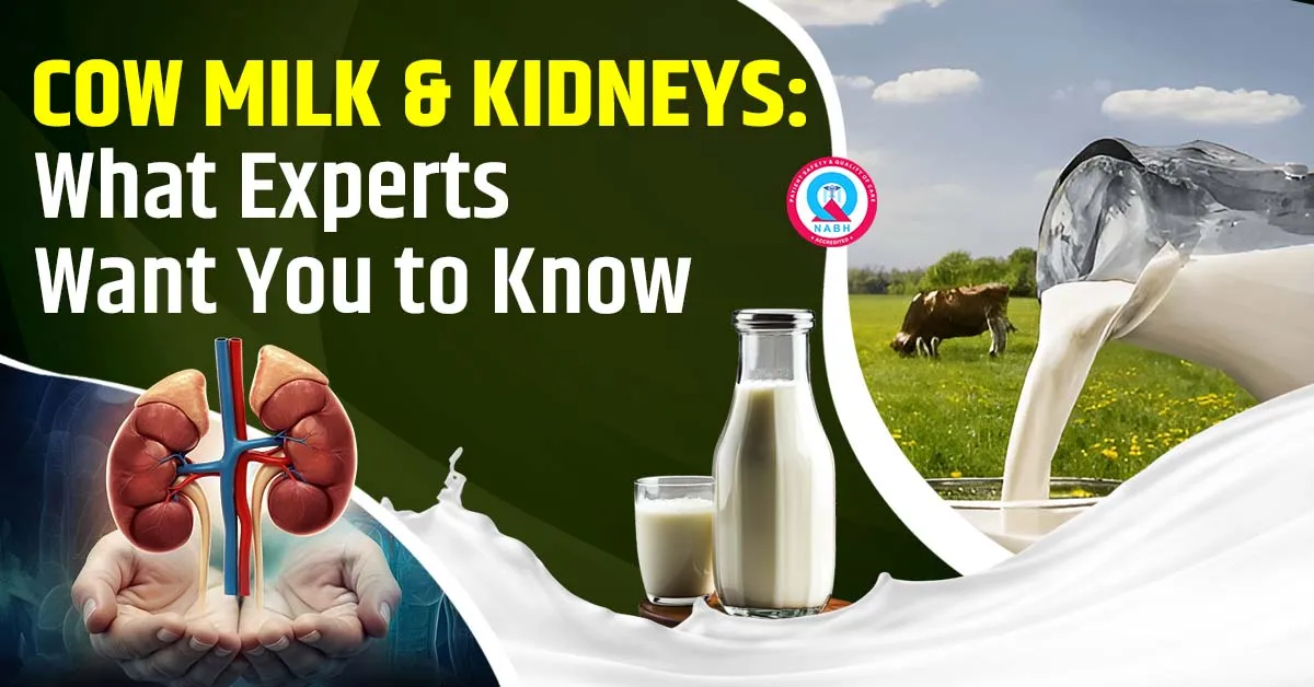 cow-milk-and-kidneys